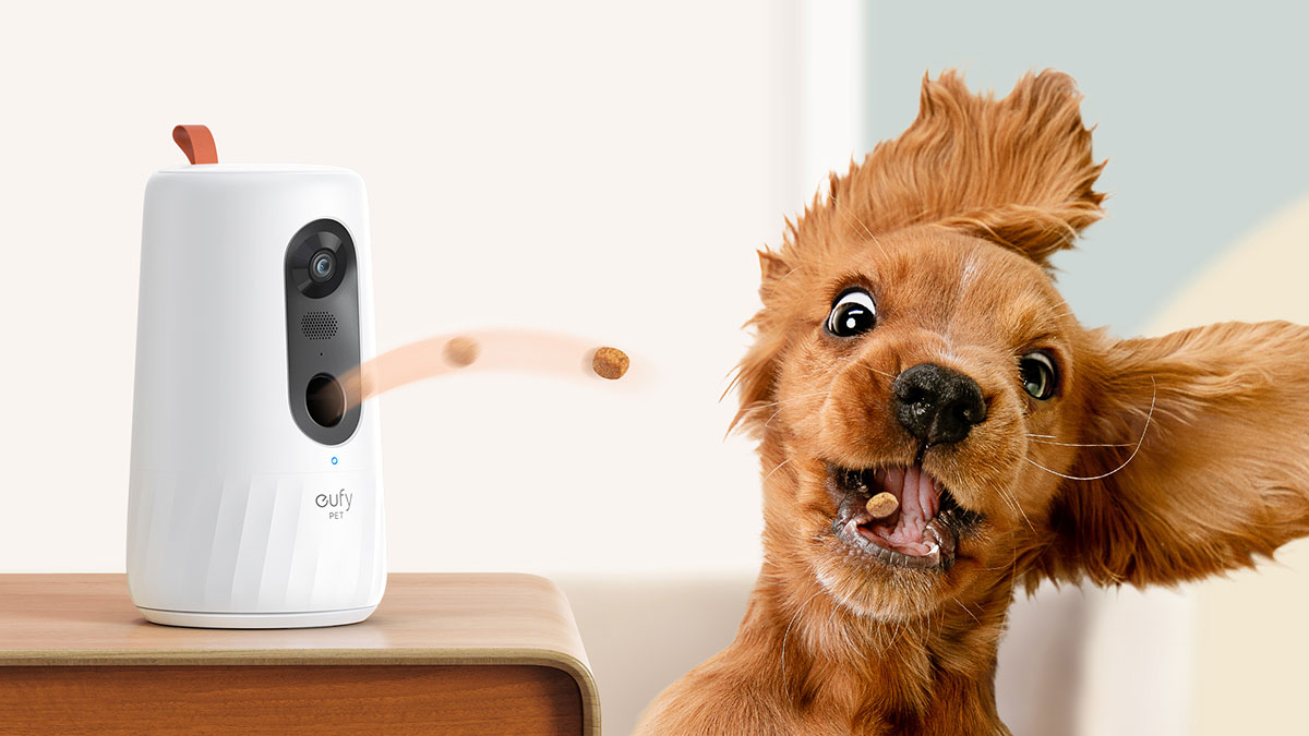 Dog webcam treat store dispenser